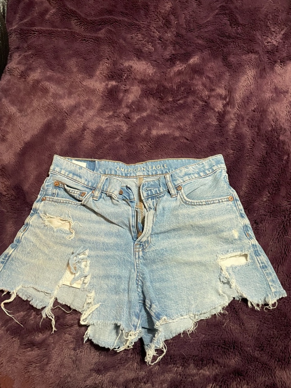 American Eagle Outfitters Light Wash Distressed Denim Cutoff Shorts